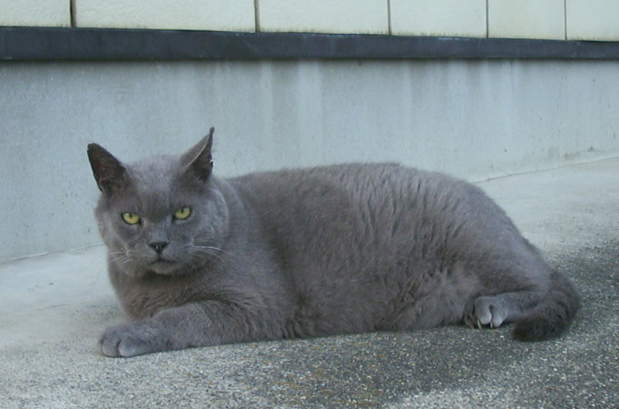a0029157_00486.jpg
