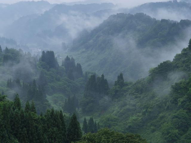 山峡の章_a0025569_21335439.jpg