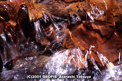 b0007284_6581.jpg