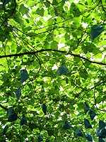 a0003318_322453.jpg