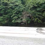 丹沢ハイキング その2_b0009110_22233722.jpg