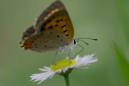 a0020901_10251427.jpg
