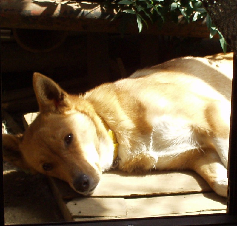 a0009647_92223.jpg