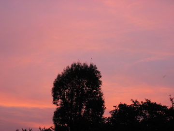 a0027280_1604117.jpg