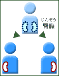 移植臓器の海外相場_a0028694_6191097.gif