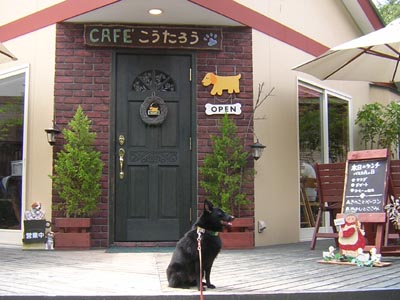 那須旅行 ドッグカフェ こうたろう 3 Ramu S Blog 那須旅行 ドッグカフェ こうたろう 3 Ramu S Blog