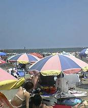 a0032384_0135672.jpg