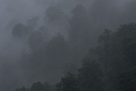 a0020901_9572473.jpg