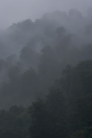 a0020901_9573276.jpg