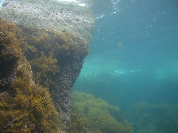 a0018745_16577.jpg
