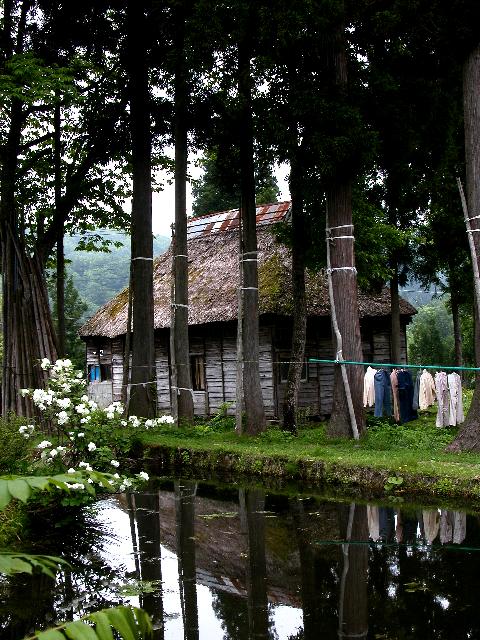 池のある家 松之山棚田と茅葺きの里