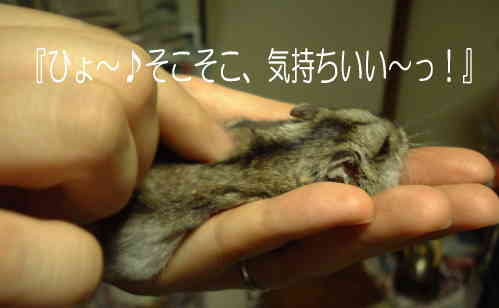 a0021421_15233.jpg