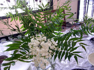 a0026127_12513848.jpg