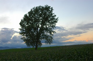 a0011280_2323254.jpg