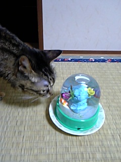 a0027720_21111322.jpg