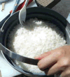b0012252_10534479.gif