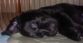 b0003270_21143828.jpg