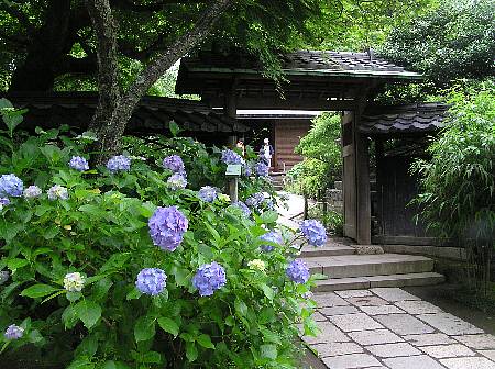 東慶寺２_a0030491_15492785.jpg