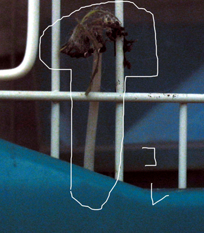 a0035067_2505531.jpg