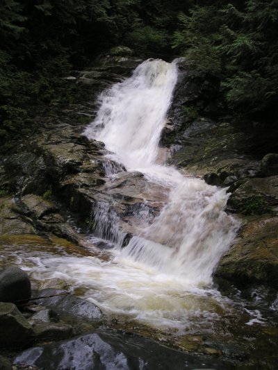 a0025444_1392627.jpg