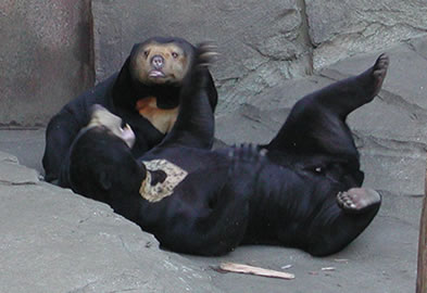 b0018524_32452100.jpg