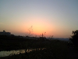 a0027720_12345541.jpg