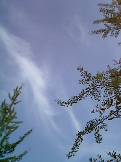 a0027720_10211223.jpg