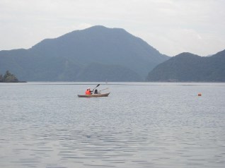 a0030256_16233921.jpg