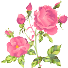 b0019567_2333989.gif