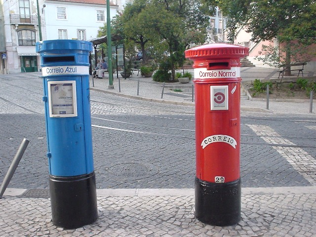 a0008885_1145317.jpg