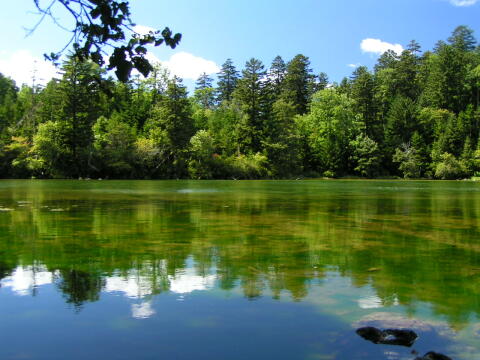 a0013423_2331186.jpg