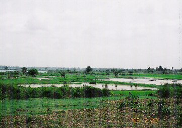 b0007425_32128.jpg
