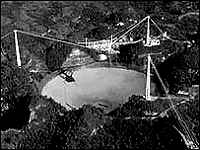 a0011290_03562.jpg