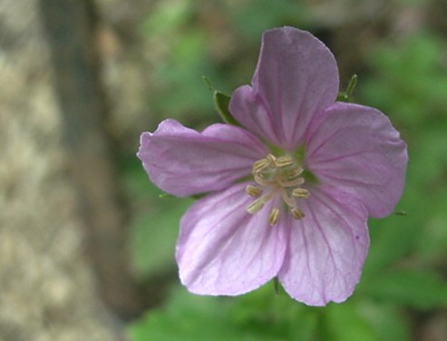 b0017645_0195998.jpg
