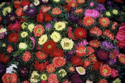a0018745_17252740.jpg