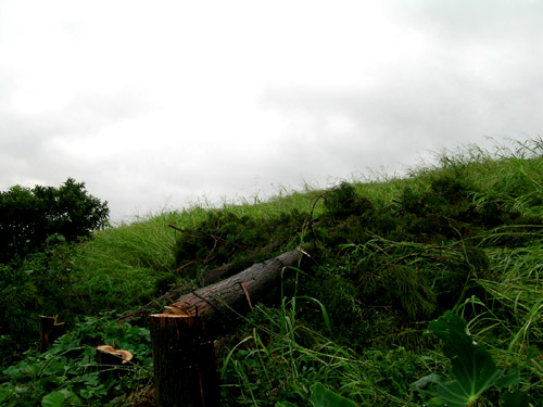 b0016545_714246.jpg