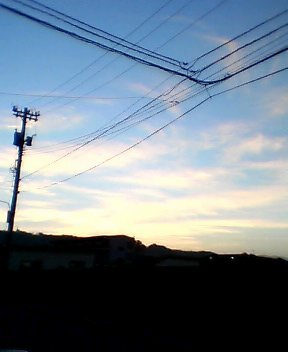 a0035113_1142445.jpg