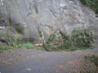 a0033428_7485950.jpg