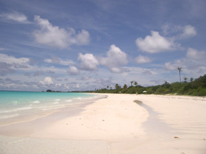 a0015132_9731.jpg