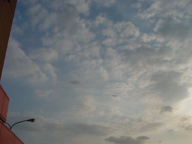 a0031000_23262455.jpg