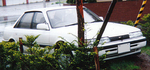 b0003526_2152668.jpg