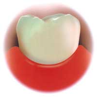 歯臓　2004.9.15_b0002156_9184.jpg