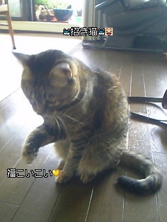 a0027720_11534714.jpg