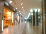 a0005476_2362289.jpg