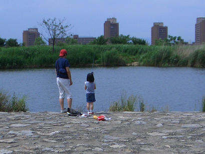 水辺での光景_b0002879_1543530.jpg