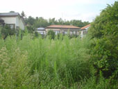 b0028216_01198.jpg