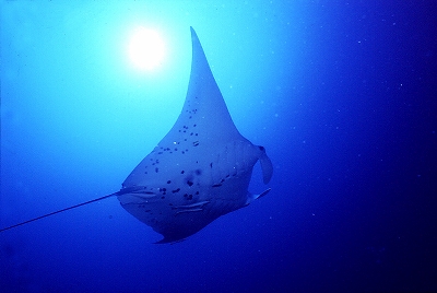 a0018745_14485570.jpg