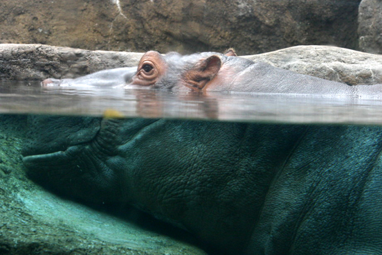 b0016600_06287.jpg