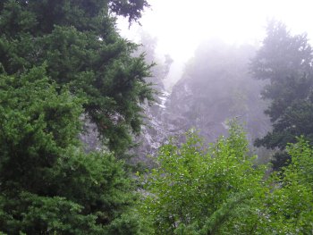 a0025444_2475151.jpg