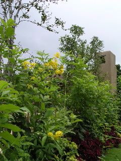 花博で見た変わった植物達_b0011661_2311493.jpg